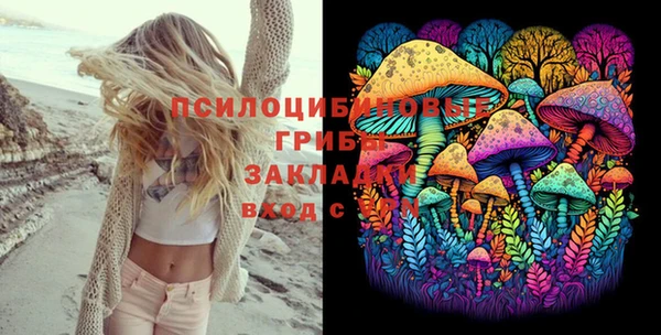 молекула духа Медвежьегорск