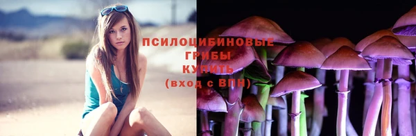 герыч Медногорск