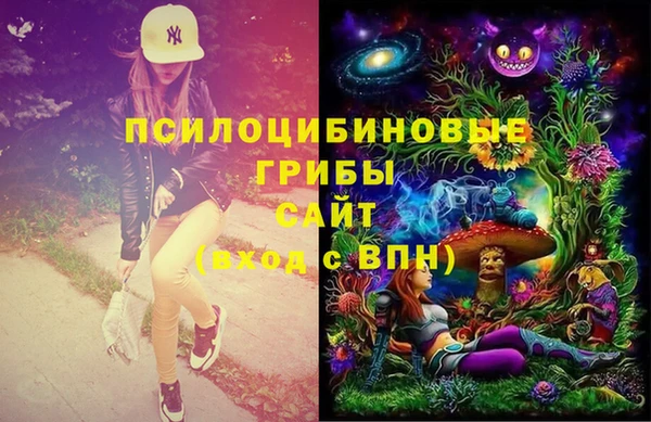 герыч Медногорск