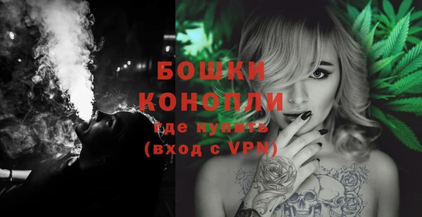 молекула духа Медвежьегорск