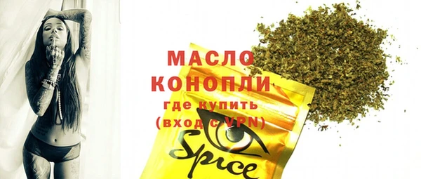 молекула духа Медвежьегорск