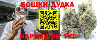 кокс Кингисепп
