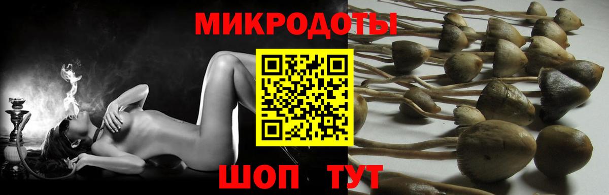 Псилоцибиновые грибы MAGIC MUSHROOMS  Вход с VPN  Первоуральск 